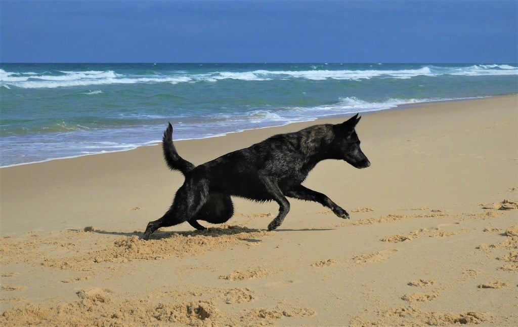 Publication : Qalystud