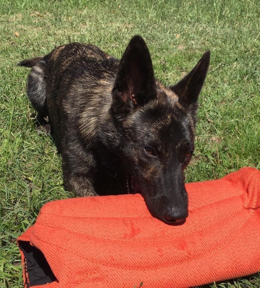 Publication : Qalystud