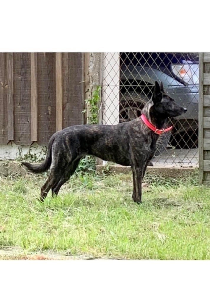 Publication : Qalystud