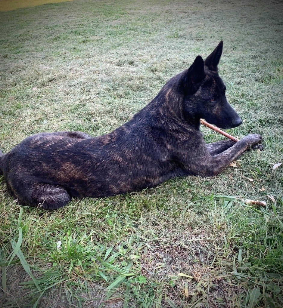 Publication : Qalystud