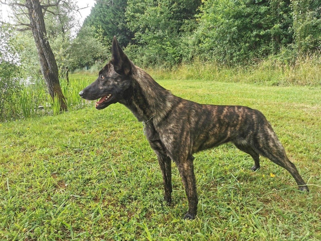 Publication : Qalystud