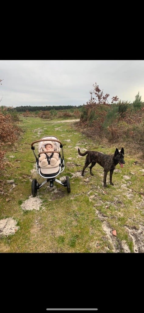 Publication : Qalystud