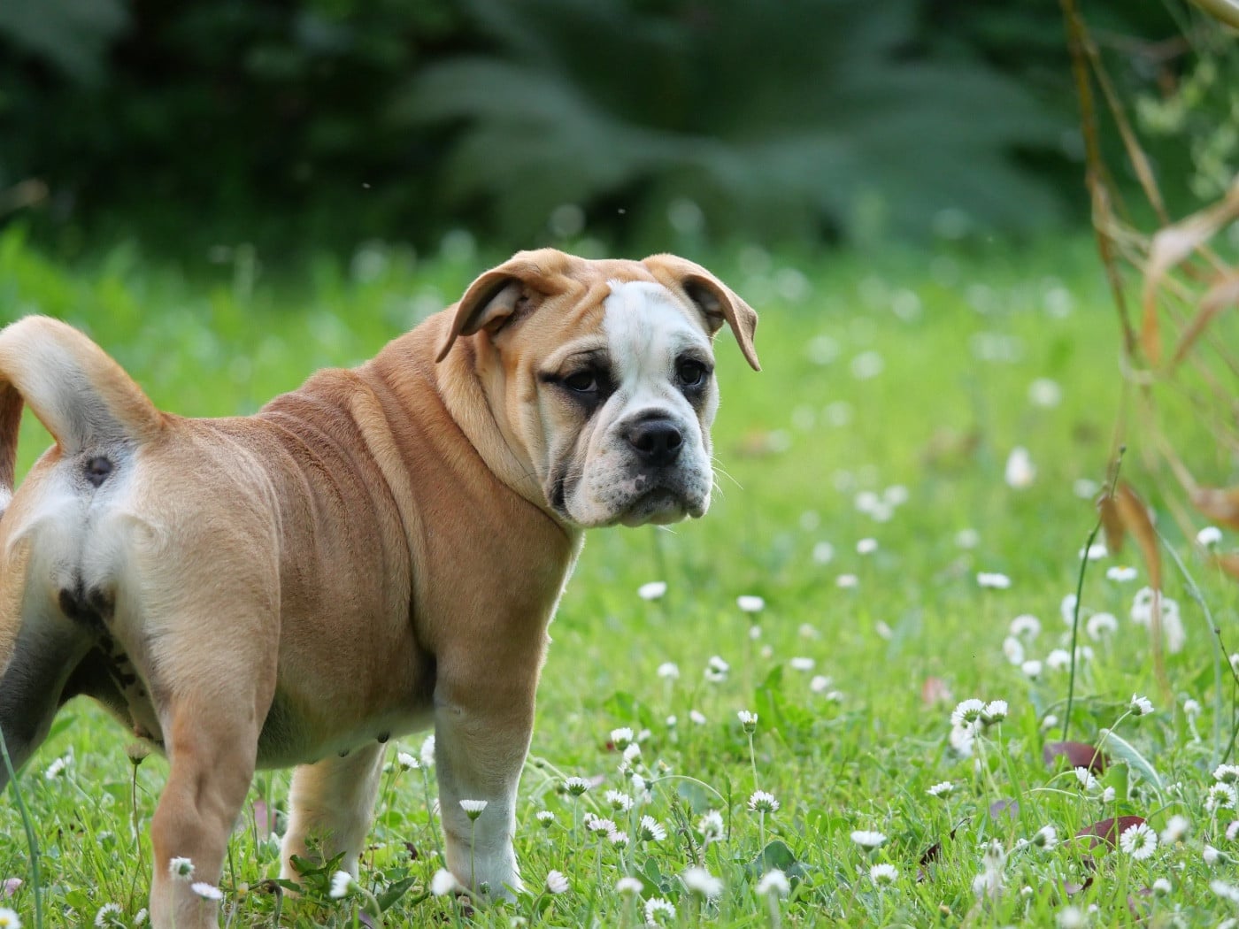BETTY-LOU