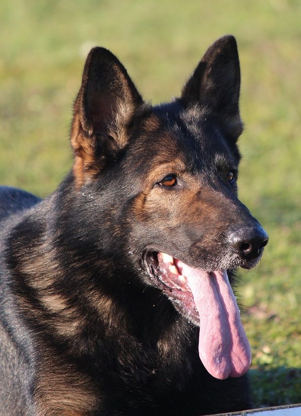 Publication : du clos de yanervin