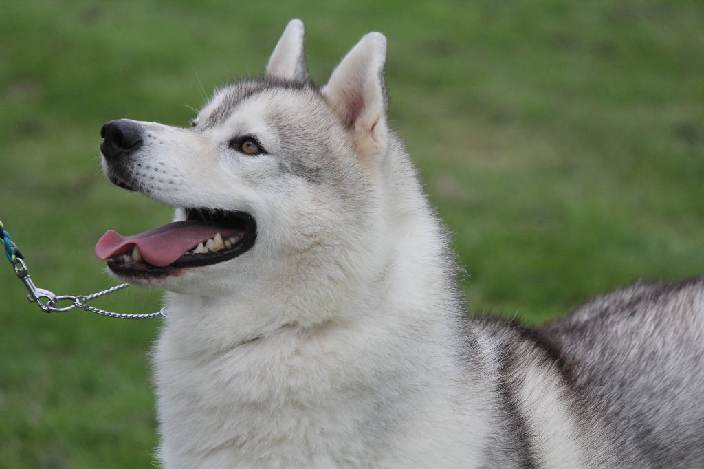 chamonix deus Imagine marseille