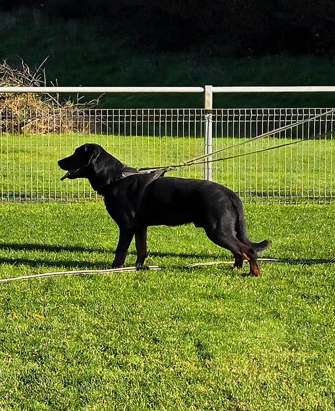 Publication : Les Pensées Du Soleil Auteur : les Pensées du soleil
