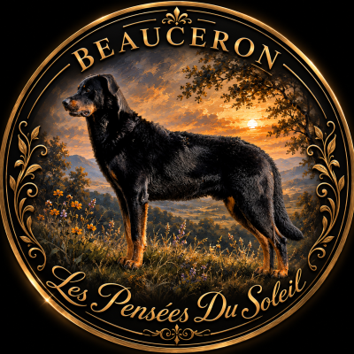 Les Pensées Du Soleil