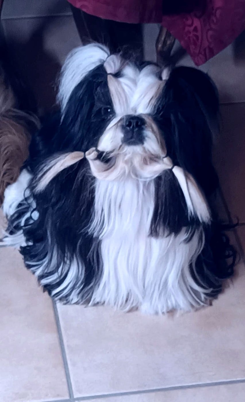 Teenangel TRICK OR TREAT