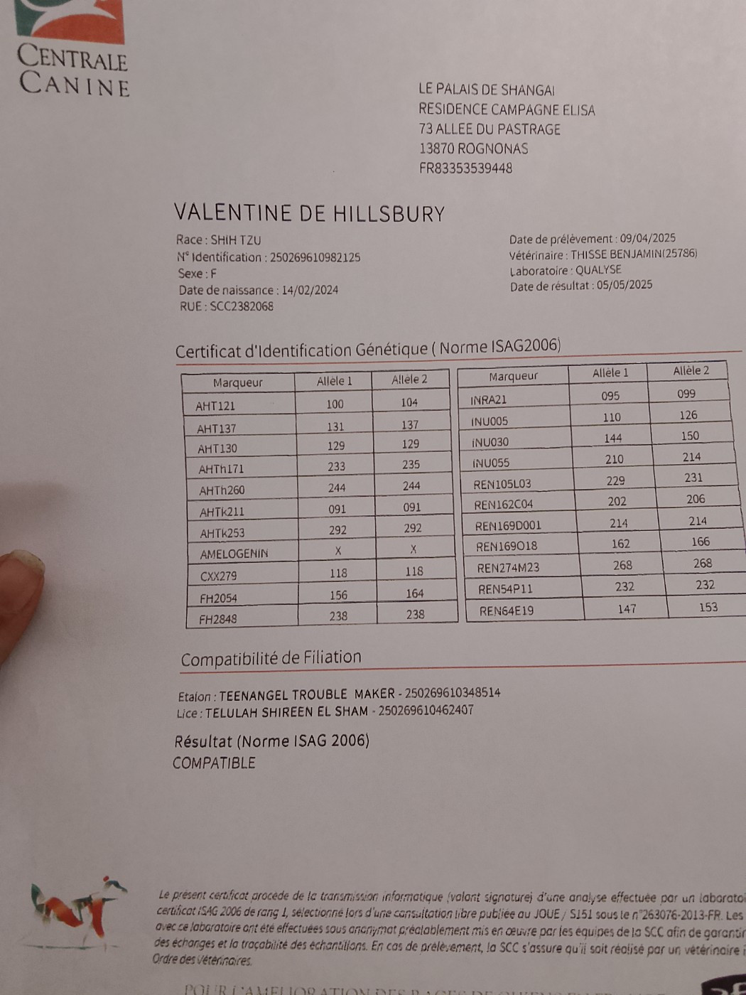 CH. VALENTINE  De hillsbury