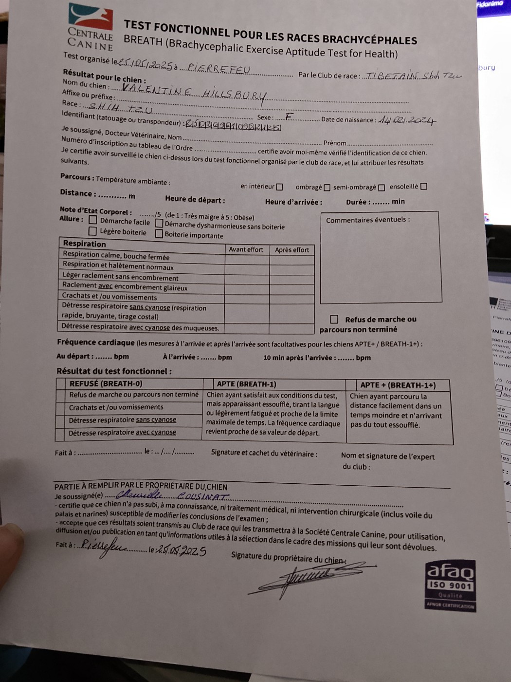 CH. VALENTINE  De hillsbury