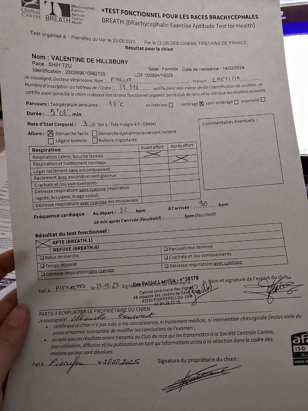 CH. VALENTINE  De hillsbury