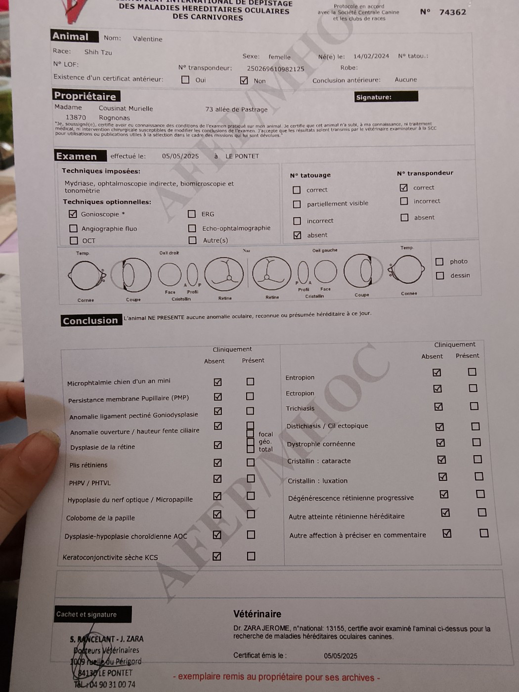 CH. VALENTINE  De hillsbury