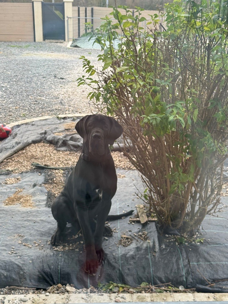 V' zendayaa Au Royaume De Leyla