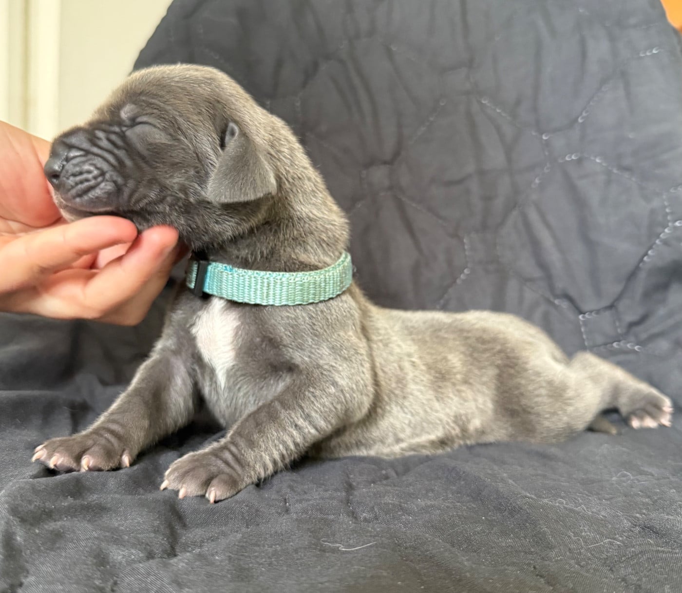 Collier bleu ciel
