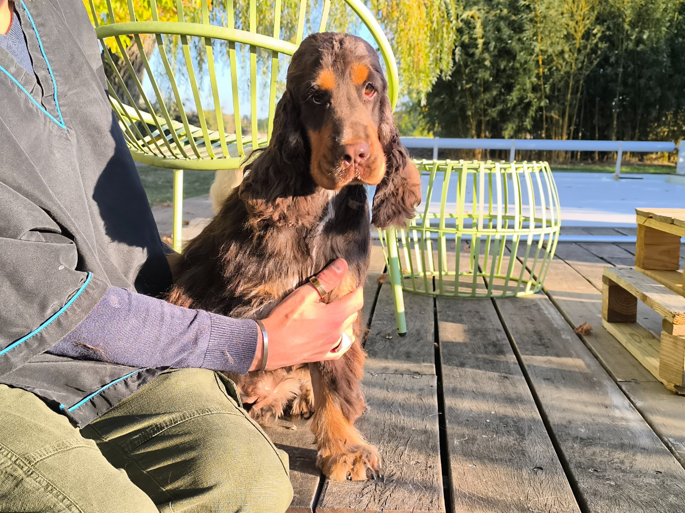 Unolulu De L'étang Au Miroir