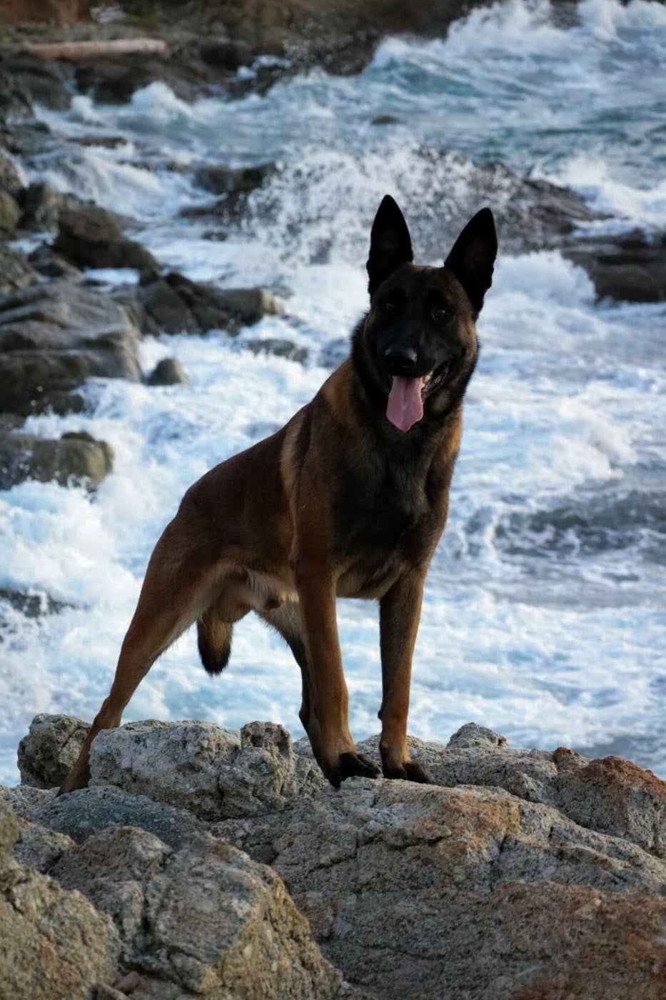 Urcu Des Loups De Kallisté