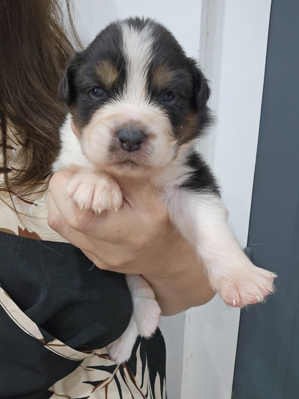 Bisou