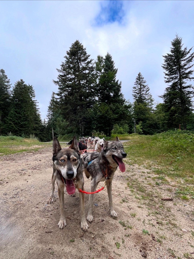 Publication : Of Artik Basterds