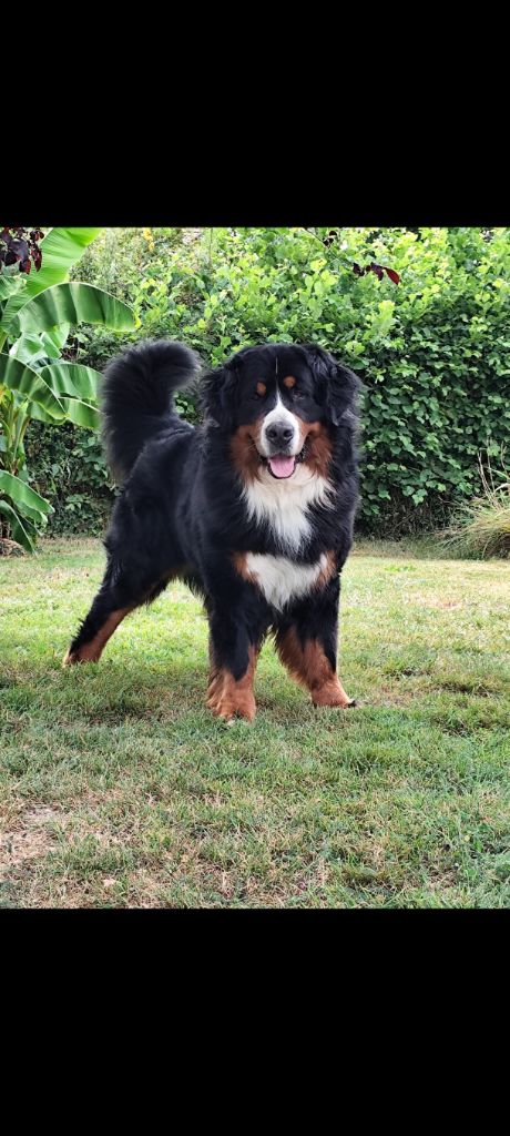 Lord Of Berners Walker texas ranger