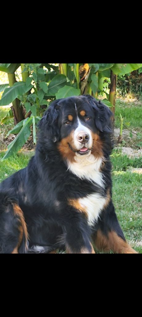 Lord Of Berners Walker texas ranger