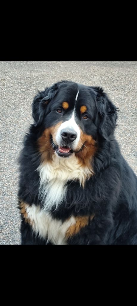 Lord Of Berners Walker texas ranger