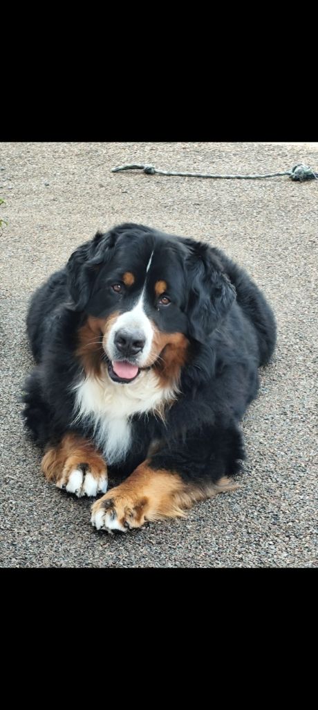 Lord Of Berners Walker texas ranger