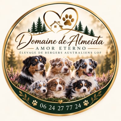 Domaine De Almeida Amor Eterno