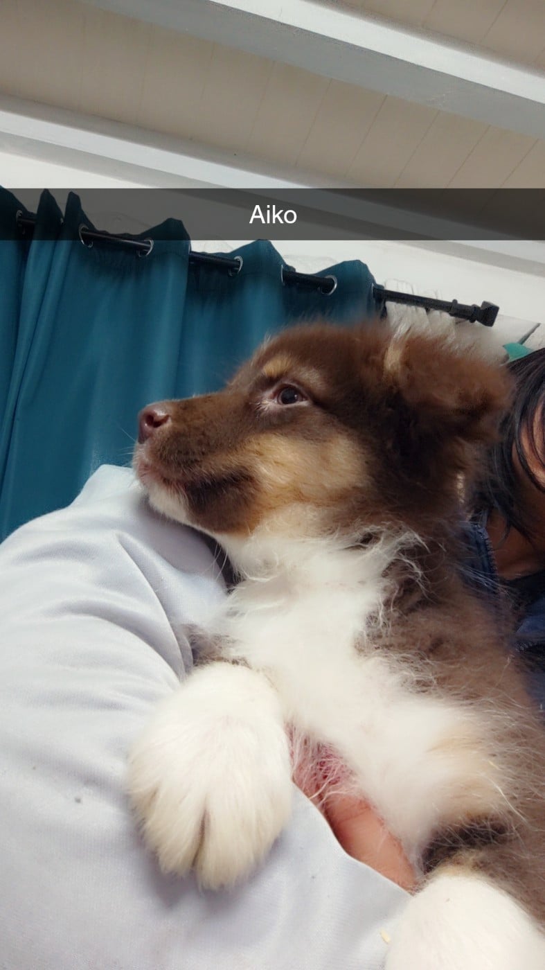 Aiko