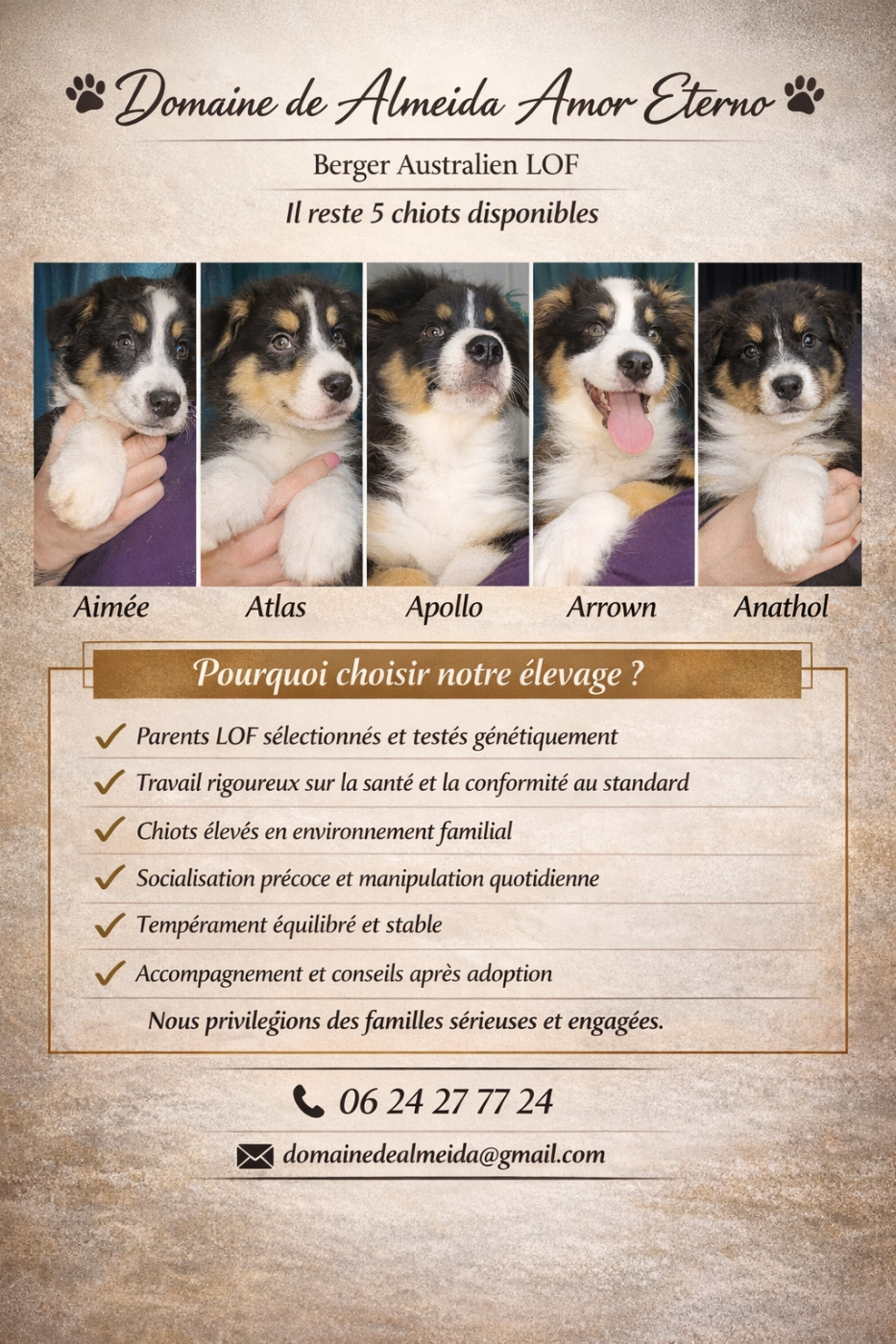 Berger Australien - Domaine De Almeida Amor Eterno