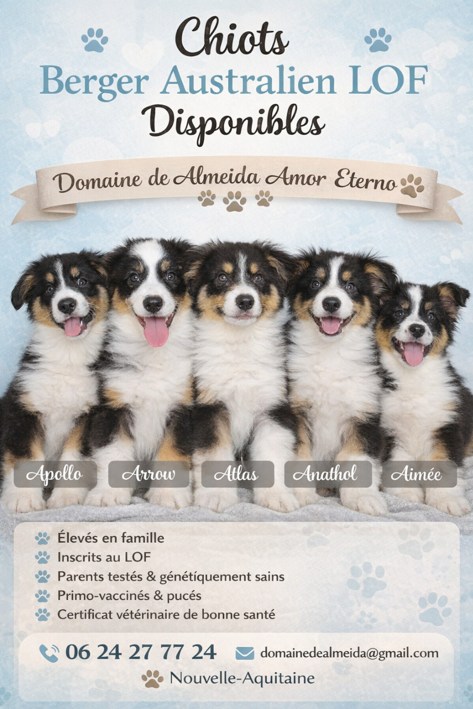 Berger Australien - Domaine De Almeida Amor Eterno