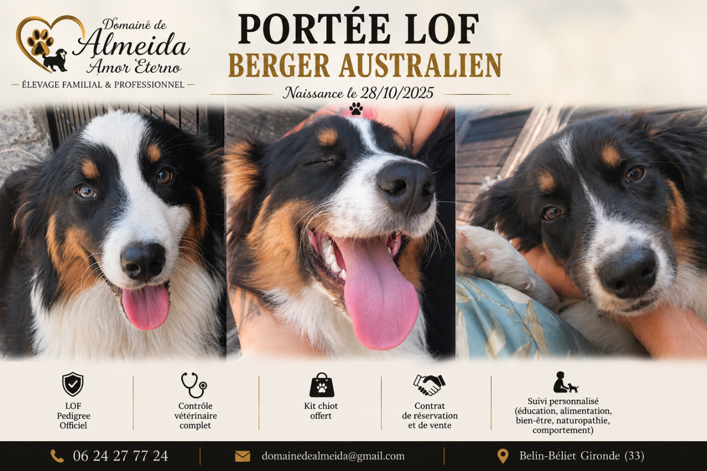 Berger Australien - Domaine De Almeida Amor Eterno