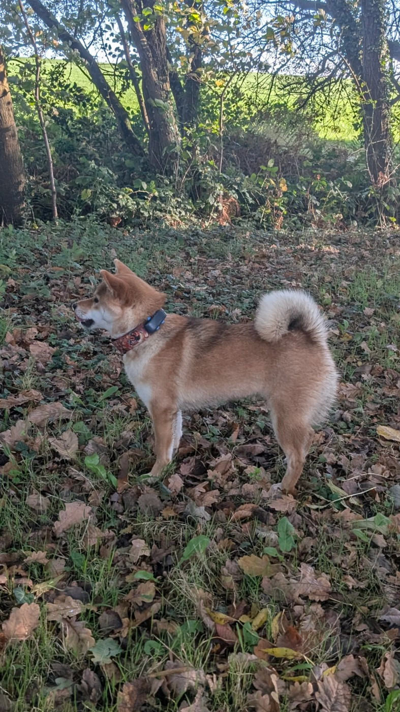 Perfect World Legacy Venice beach