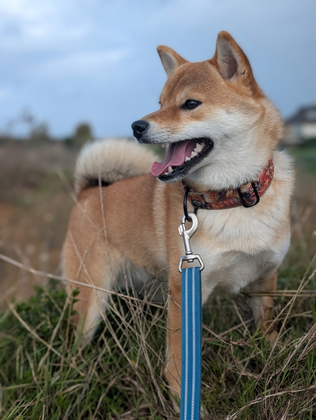 Perfect World Legacy Venice beach