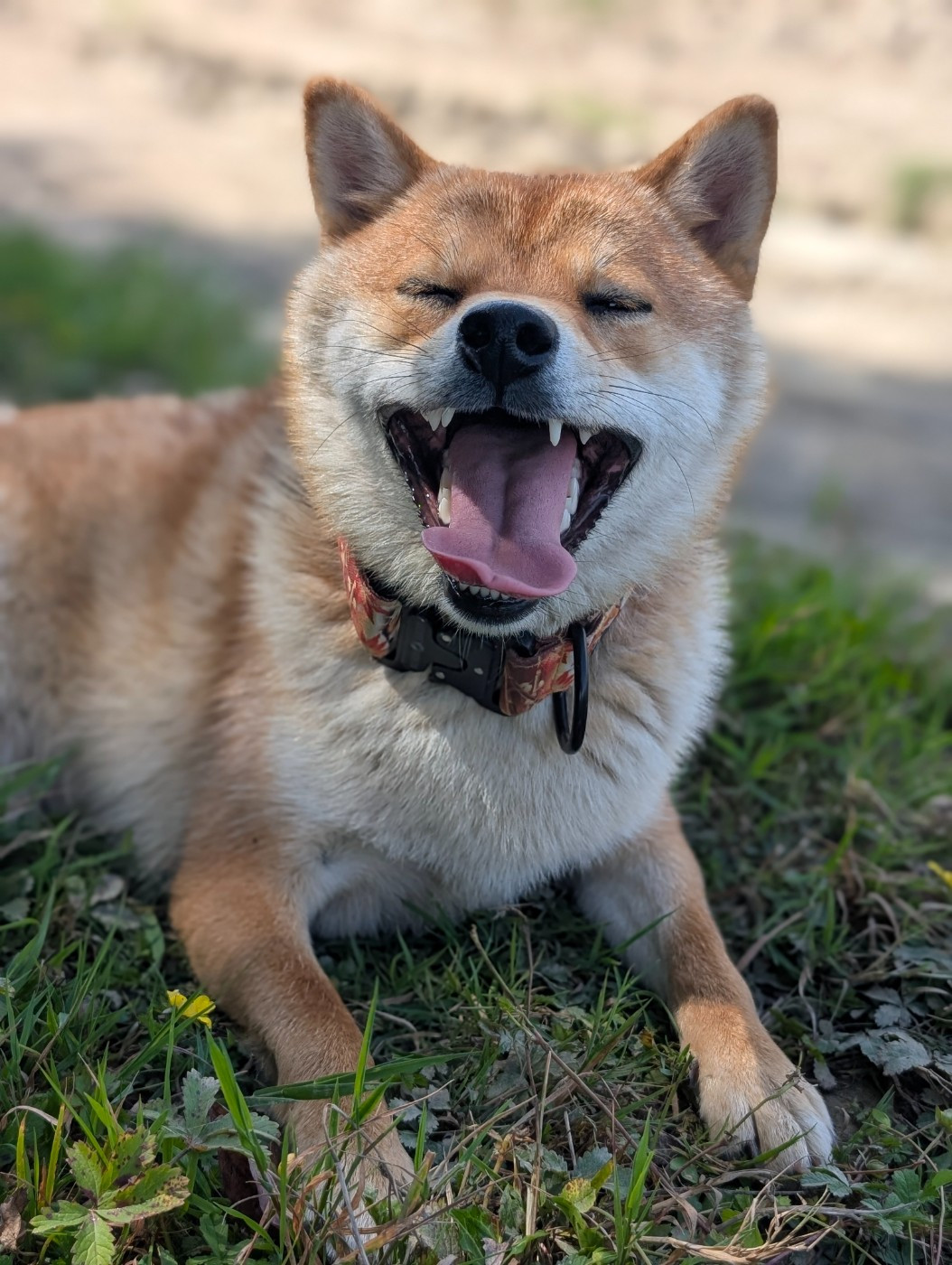 Perfect World Legacy Venice beach