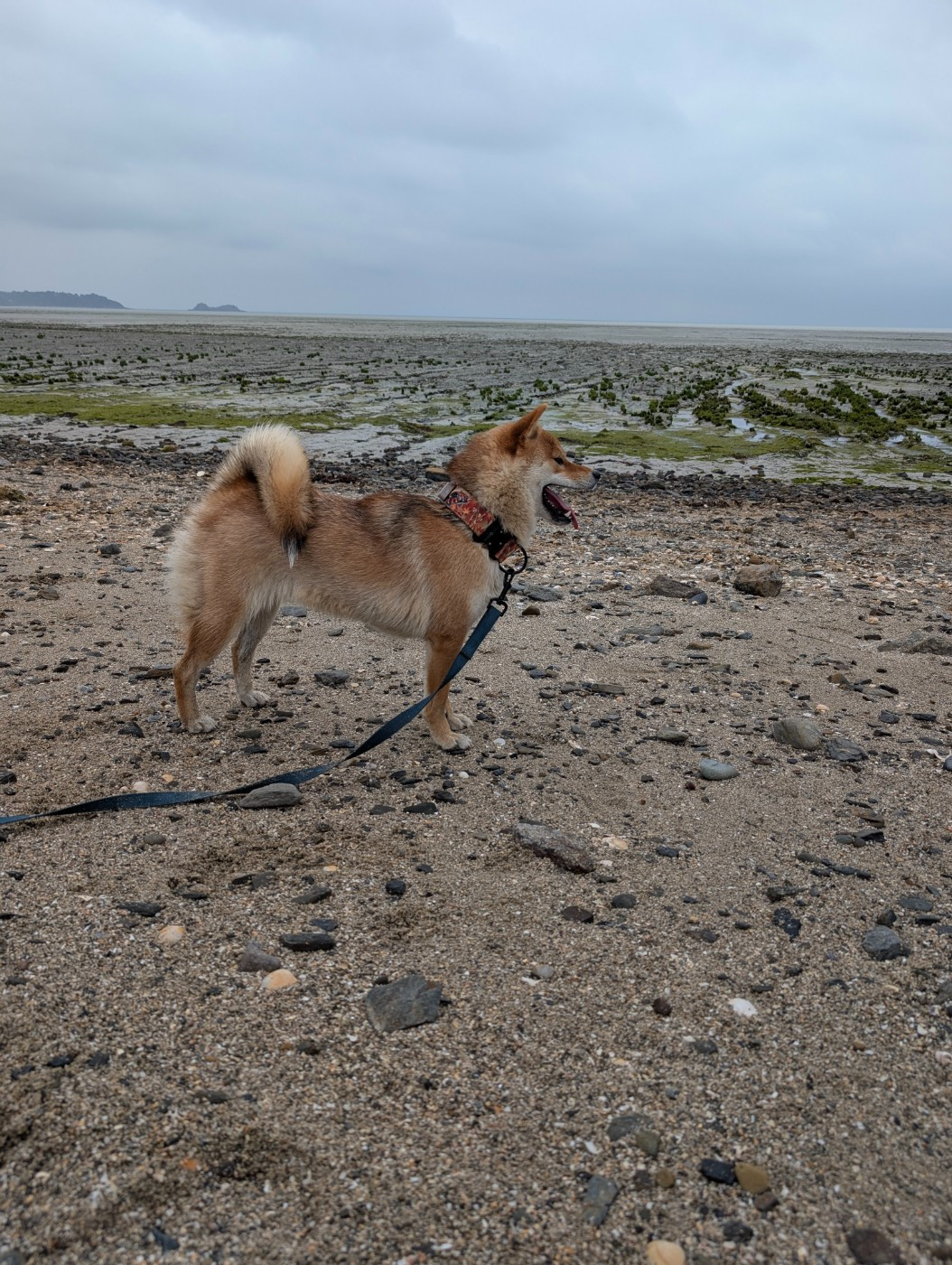 Perfect World Legacy Venice beach