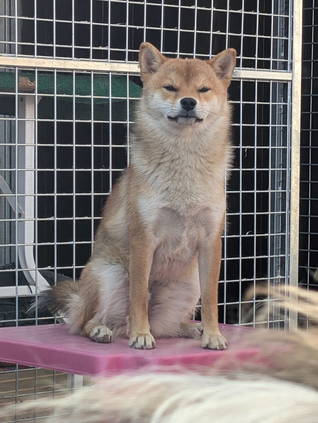 Perfect World Legacy Venice beach