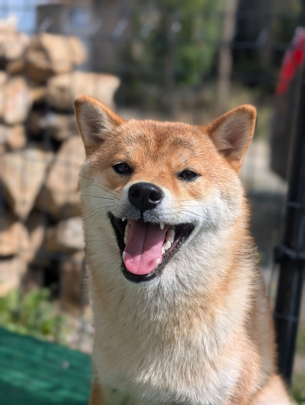 Perfect World Legacy Venice beach