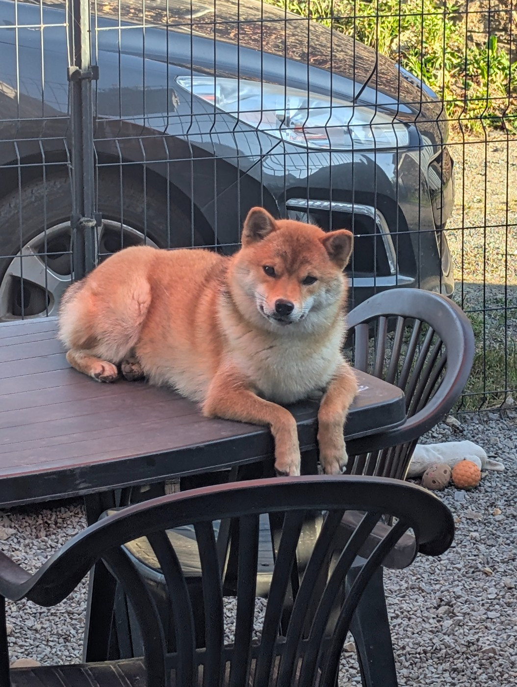 Perfect World Legacy Venice beach