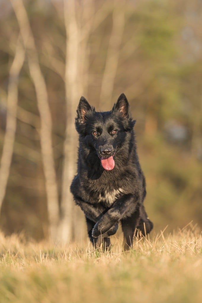 Um-pact imminent Des Abîmes Ardents