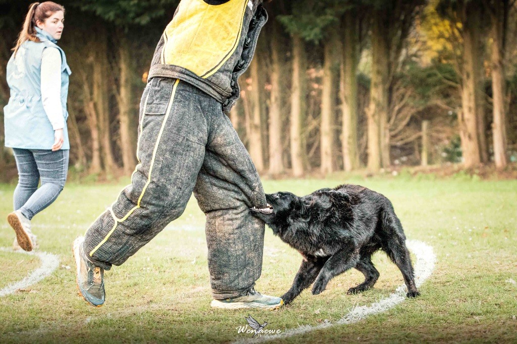 Um-pact imminent Des Abîmes Ardents