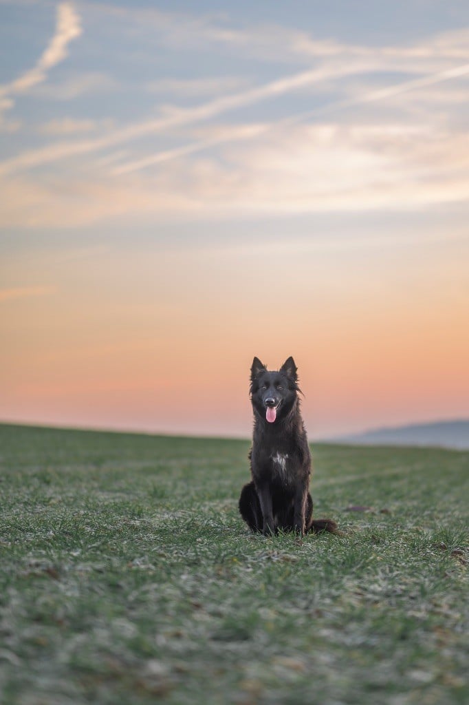 Um-pact imminent Des Abîmes Ardents