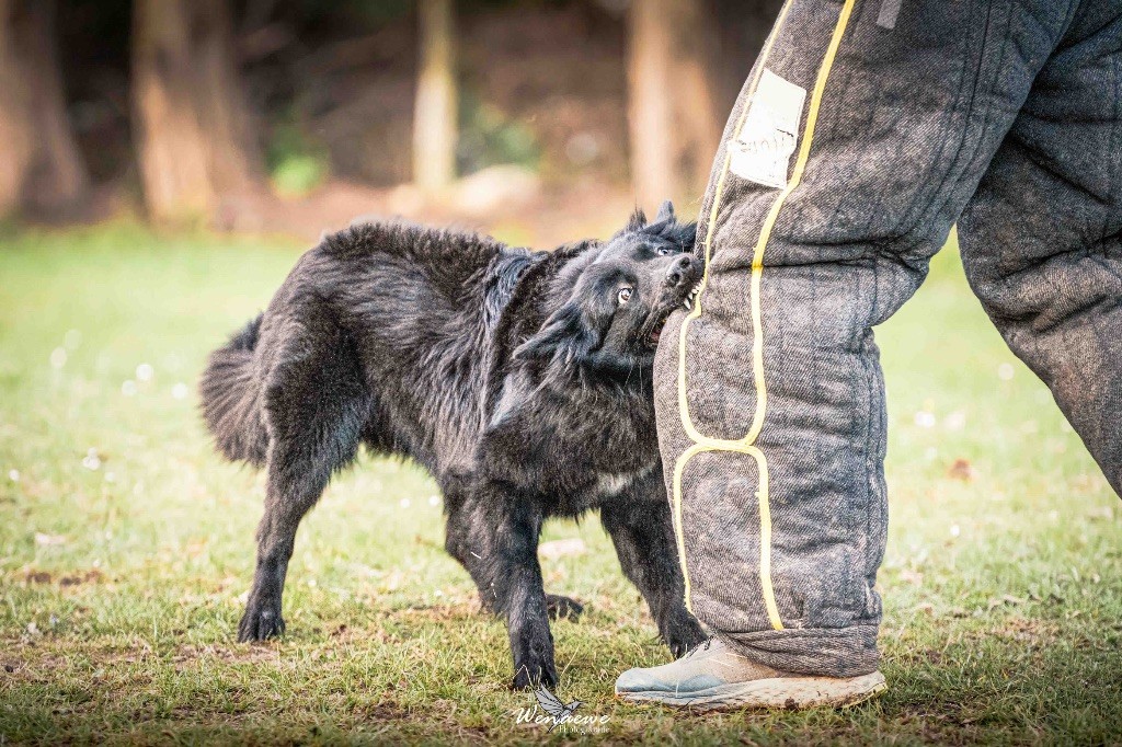 Um-pact imminent Des Abîmes Ardents
