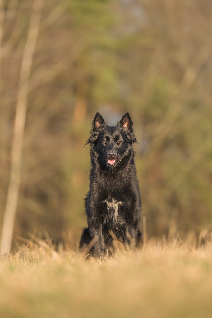 Um-pact imminent Des Abîmes Ardents