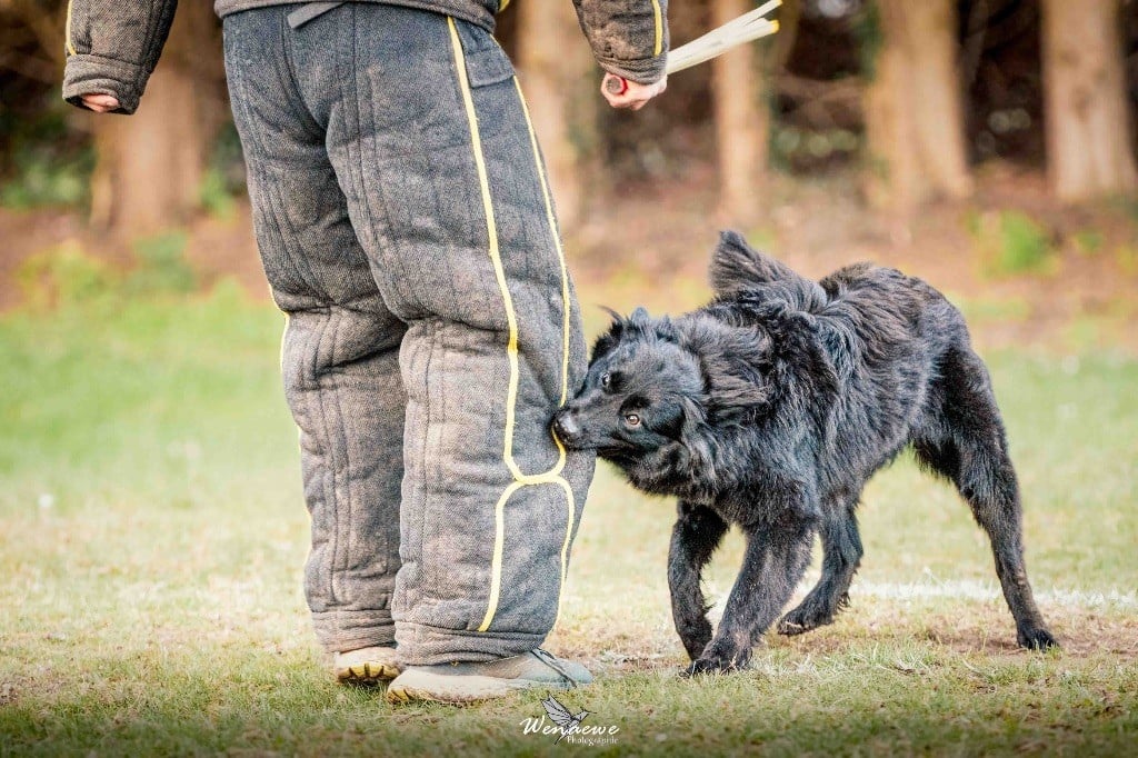 Um-pact imminent Des Abîmes Ardents