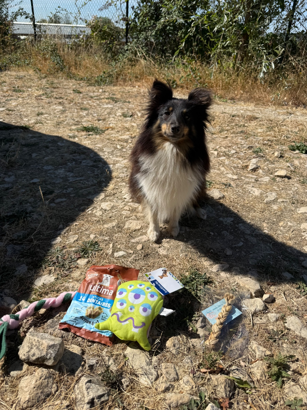 Vendetta du Banc des Hermelles - Pass Agility obtenu