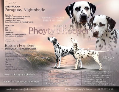The Pheyty's Keeper