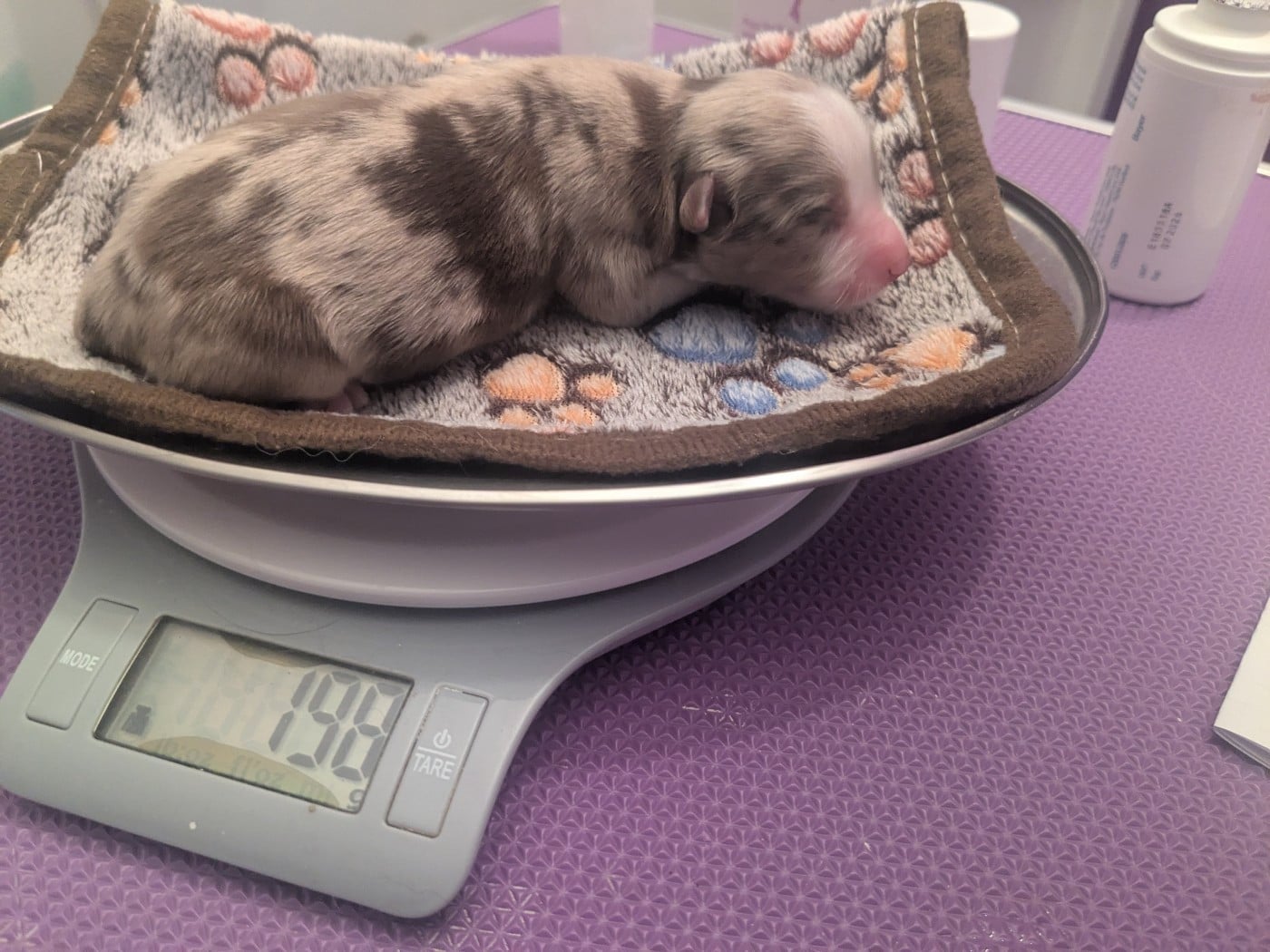 Besse super sweet de la riki et compagnie