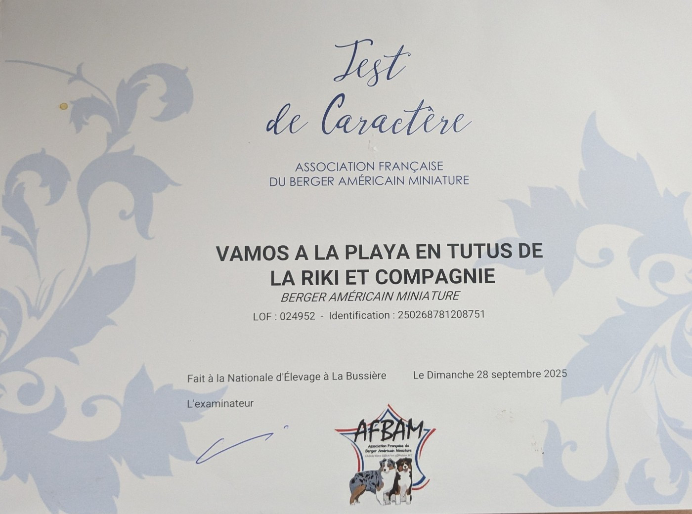 Vamos a la playa en tutus De La Riki Et Compagnie - EXCELLENT