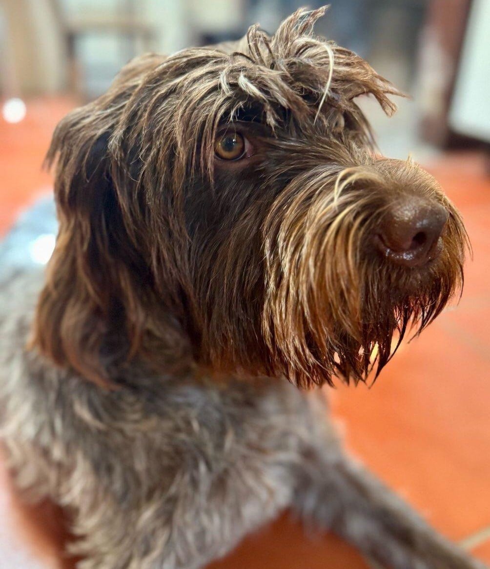 Publication : Des Etangs De La Bourie Auteur : DIEZ HERNANDEZ Francisco