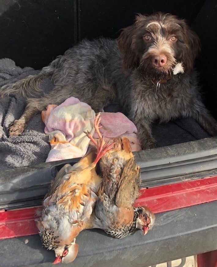 Publication : Des Etangs De La Bourie Auteur : DIEZ HERNANDEZ Francisco